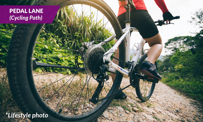 PEDAL-LANE-Cycling-Path-5